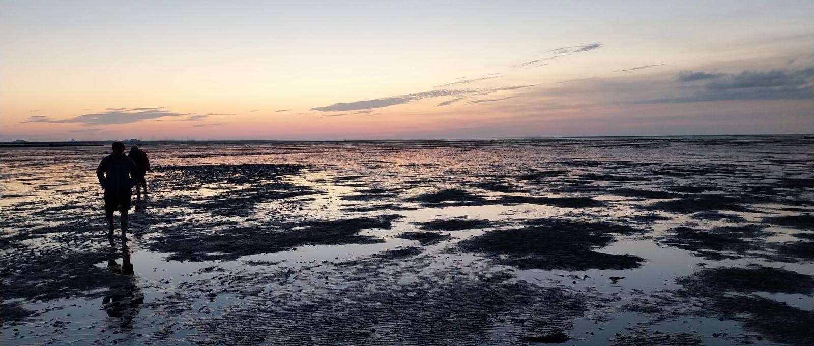Menschen im Wattenmeer in der Dämmerung