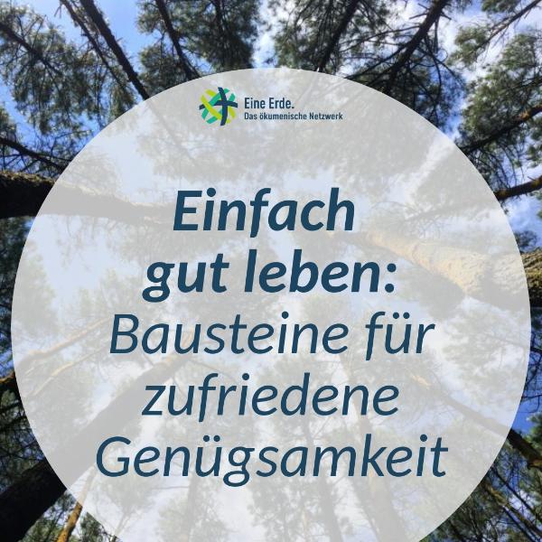 Einfach gut leben Bausteine für zufriedene Gerechtigkeit(5)
