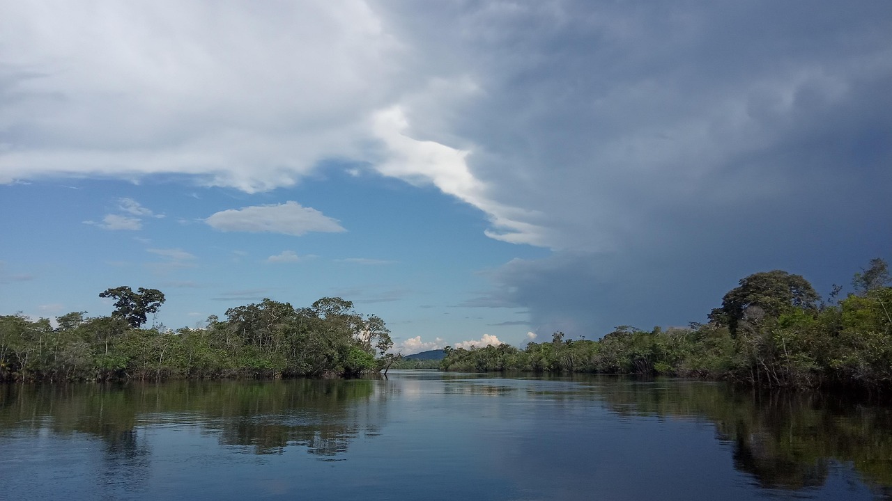 Flusslandschaft am Amazonas