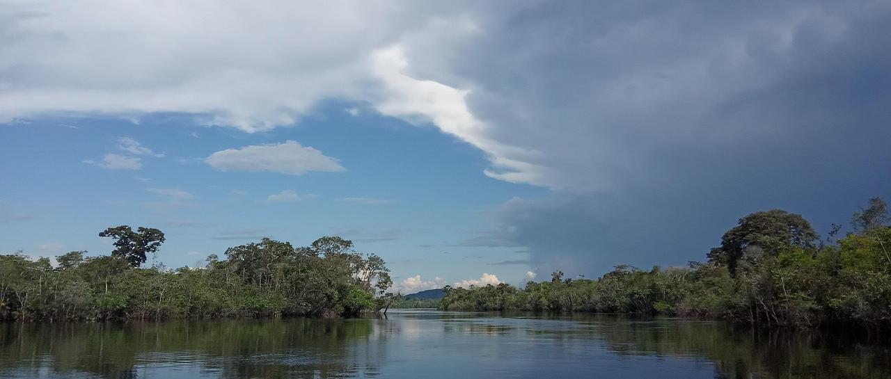 Flusslandschaft am Amazonas