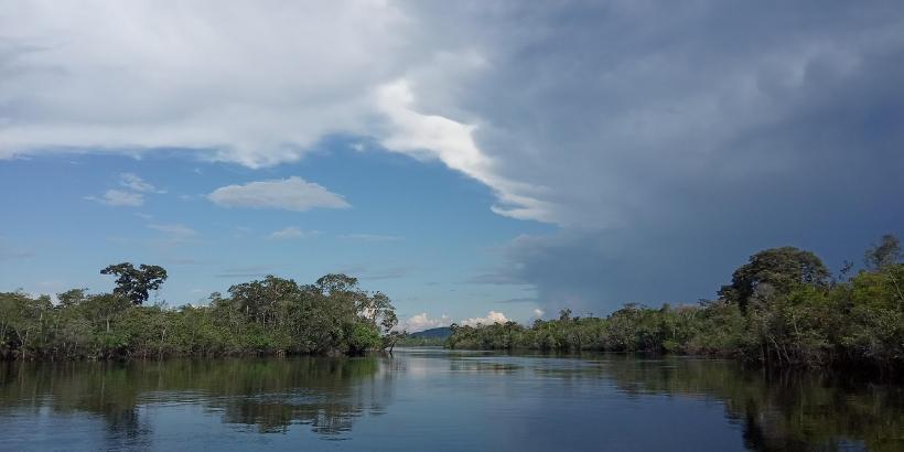 Flusslandschaft am Amazonas