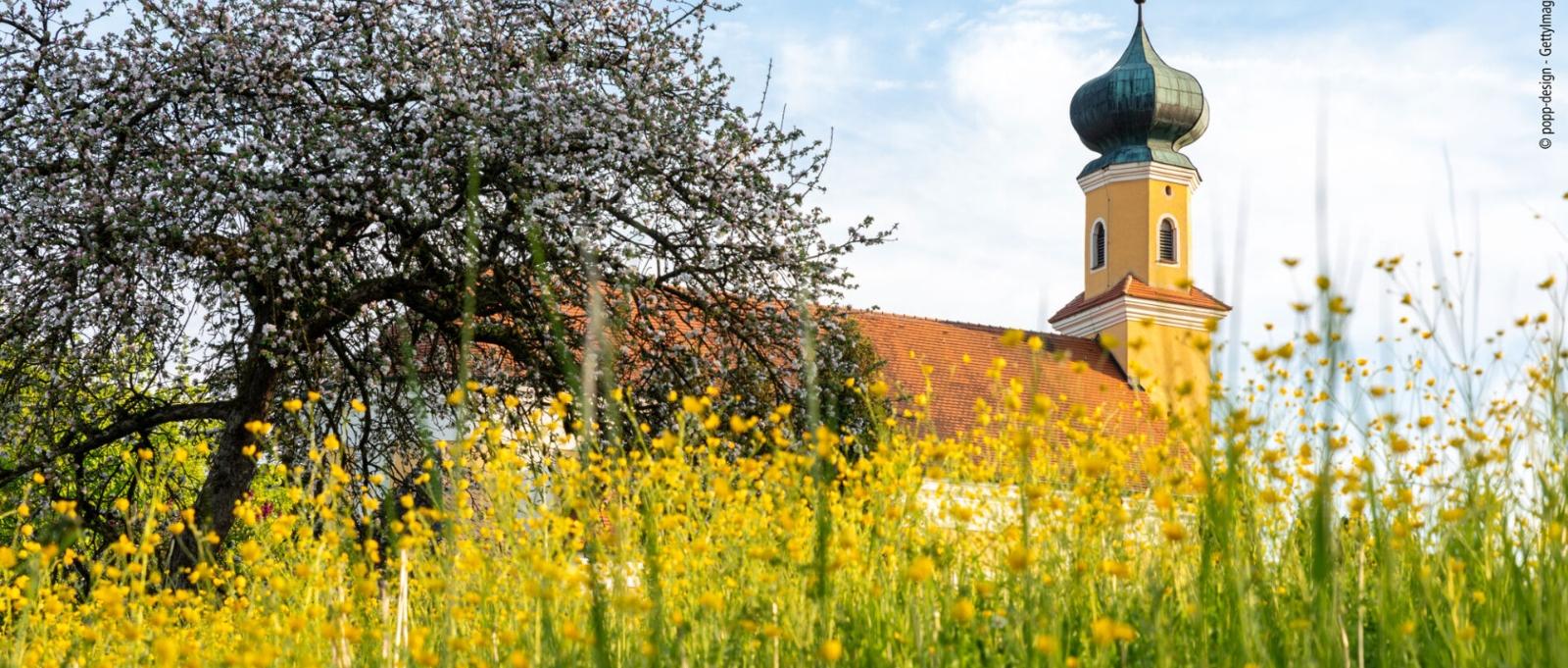 Kirchturm hinter blühender Wiese und Baum