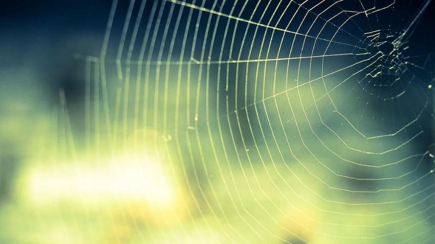 Ein Spinnennetz