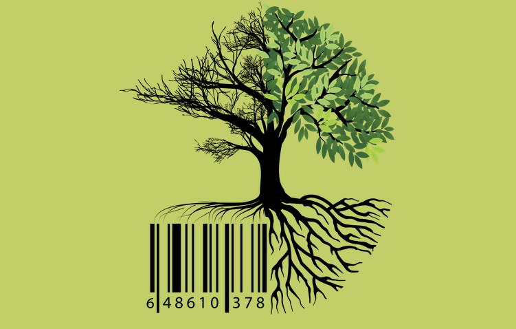 eco summer camp bäume_barcode