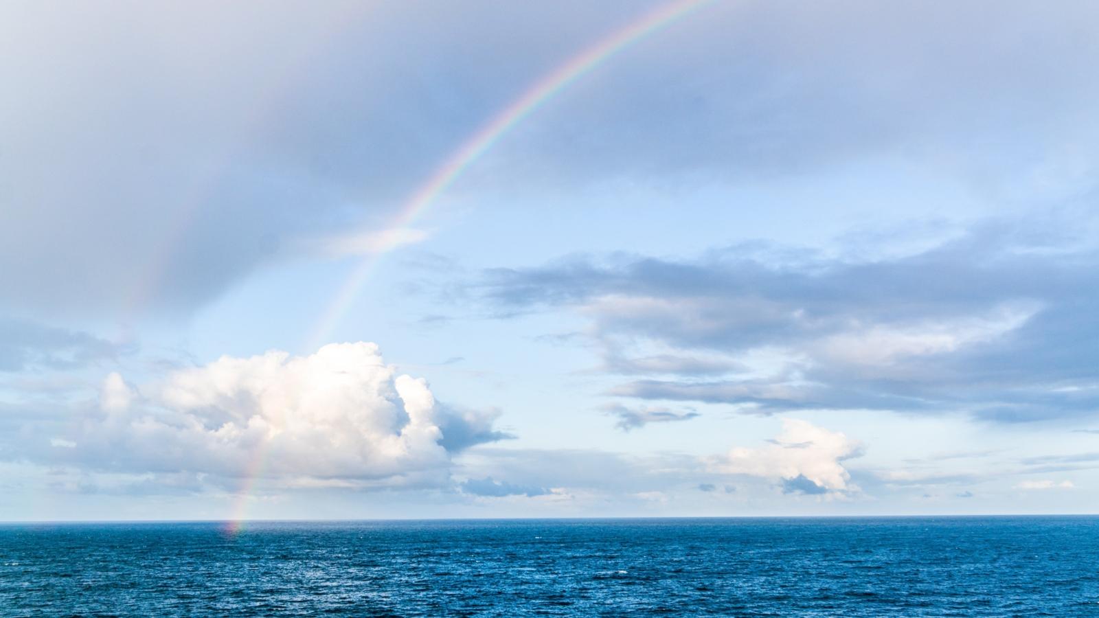 Regenbogen
