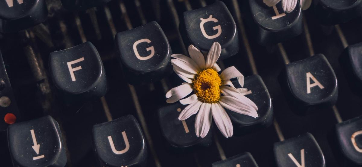 Die Tastatur einer Schreibmaschine mit drei Blumen zwischen den Tasten
