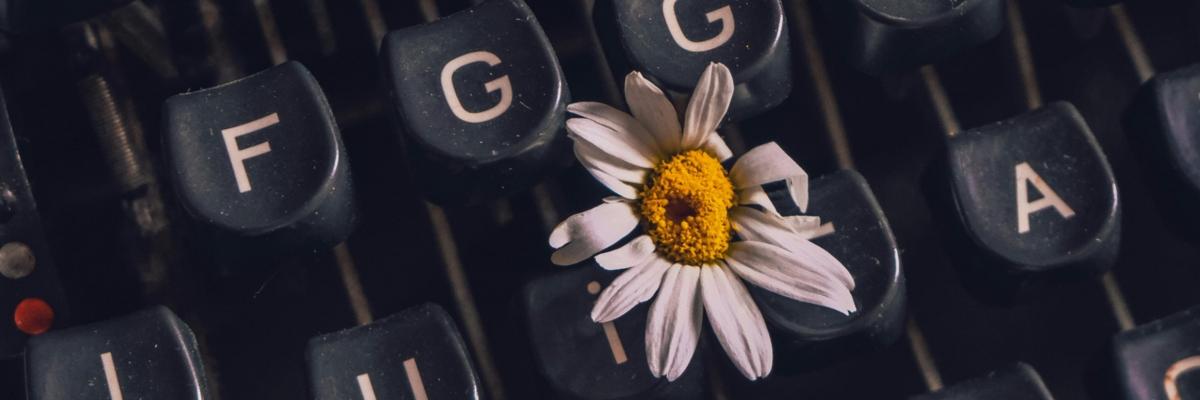 Die Tastatur einer Schreibmaschine mit drei Blumen zwischen den Tasten